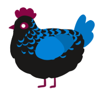 A sable and sapphire chicken with a half-lace pattern