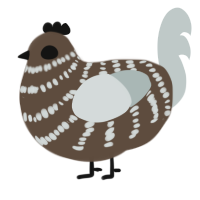 A bark and silver chicken with a bar pattern