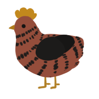 A russet and sable chicken with a bar pattern