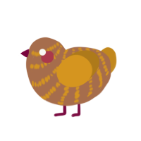 A brown and ochre chicken with a bar pattern