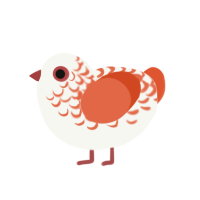 A white and vermilion chicken with a half-lace pattern