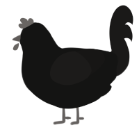 rotten, a black and sable chicken with a head pattern