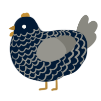 A tumblr and ash chicken with a lace pattern