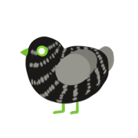 A sable and ash chicken with a bar pattern