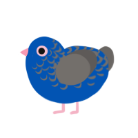 pigeon, a ultramarine and grey chicken with a half-lace pattern