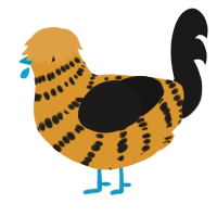 A orange and sable chicken with a bar pattern