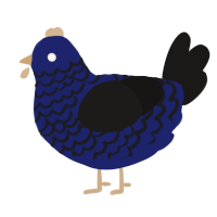 A navy and sable chicken with a lace pattern