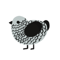 (unnamed), a silver and black chicken with a lace pattern