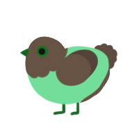 A spring and bark chicken with a head pattern