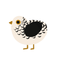 (unnamed), a cream and black chicken with a half-lace pattern