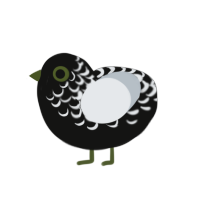 A black and mist chicken with a half-lace pattern