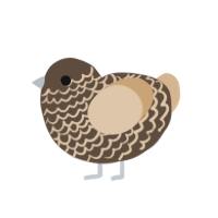 A bark and beige chicken with a lace pattern