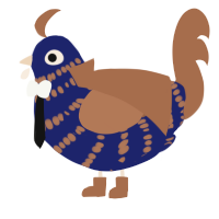 the bwoktor, a navy and brown chicken with a bar pattern