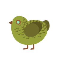 Hoks, a chartreuse and olive chicken with a half-lace pattern