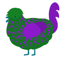 A leaf and violet chicken with a speckle pattern