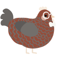 A russet and grey chicken with a lace pattern