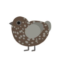 Coal, a bark and ash chicken with a speckle pattern