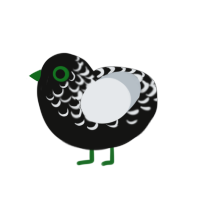A black and mist chicken with a half-lace pattern