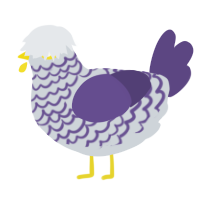 A mist and overcast chicken with a lace pattern