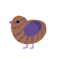 PBJ the third, a brown and overcast chicken with a bar pattern