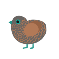 A grey and brown chicken with a lace pattern