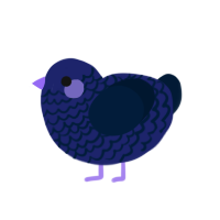 A navy and tumblr chicken with a lace pattern