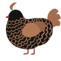 A black and brown chicken with a lace pattern