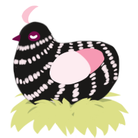 A sable and rose chicken with a bar pattern