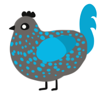 A grey and cerulean chicken with a speckle pattern