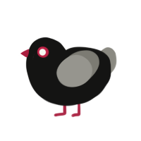 A black and ash chicken