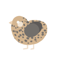 A beige and grey chicken with a speckle pattern