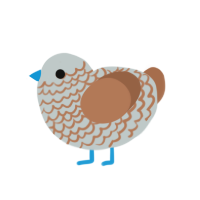 (unnamed), a silver and brown chicken with a lace pattern