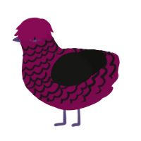 Goth AND emo baby, a wine and black chicken with a lace pattern