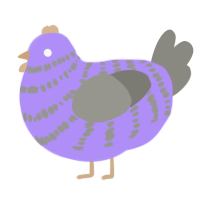 A lilac and ash chicken with a bar pattern
