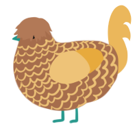 A brown and honey chicken with a lace pattern