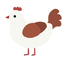 Goober, a white and russet chicken