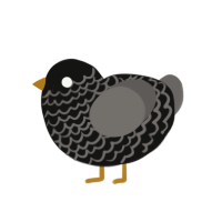 A black and grey chicken with a lace pattern