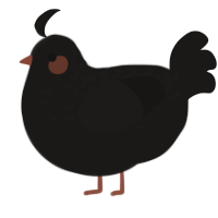 A sable chicken with a half-lace pattern