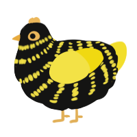 A black and yellow chicken with a bar pattern