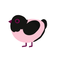 A rose and black chicken with a head pattern