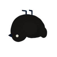 The Void, a sable chicken with a half-lace pattern