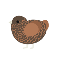 fright, a bark and brown chicken with a lace pattern