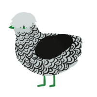 Tolliver, a silver and black chicken with a double-lace pattern