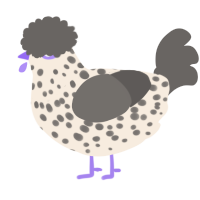 A cream and grey chicken with a speckle pattern