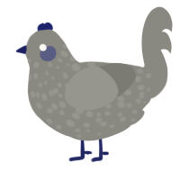 A ash chicken with a speckle pattern