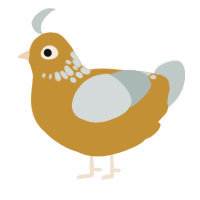 A gold and silver chicken with a neck-speckle pattern