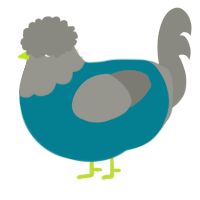 A sea and ash chicken with a head pattern