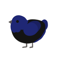 (unnamed), a black and navy chicken with a head pattern