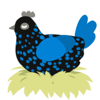 A black and sapphire chicken with a speckle pattern