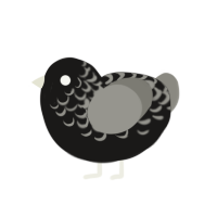 Concrete Baby, a sable and ash chicken with a half-lace pattern